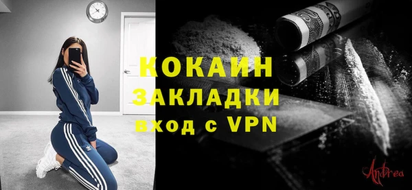 PSILOCYBIN Вяземский