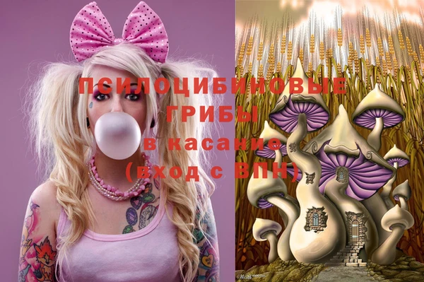 меф VHQ Горно-Алтайск