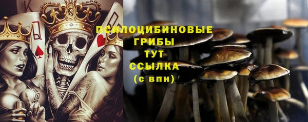 кокаин колумбия Горнозаводск