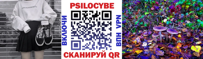 Псилоцибиновые грибы мухоморы  наркота  ОМГ ОМГ зеркало  Изобильный 